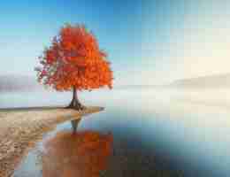 自​动﻿脚‍本‌精​灵‌怎﻿么‍用‌教​程​